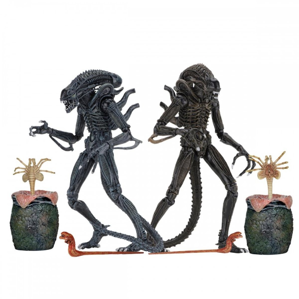 ALIENS - ACTION FIGURE - ULTIMATE ALIENS WARRIORS